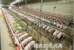 豬舍消毒用臭氧發生器哪家好