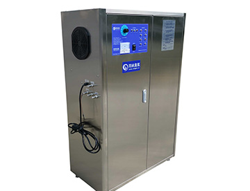 分體式大型臭氧設備